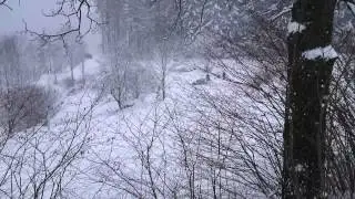ERC Janner Rally 2015 | ss 4 Pierbach | Consani