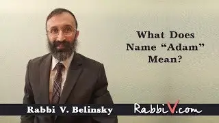 What Does Name 