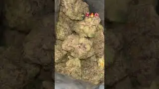 LITFARM-WIZARD FUEL SUPREME 🔥USE CODE-SAVEWJ TO SAVE 🔥 #freetheplant #thcareview #420 #lost