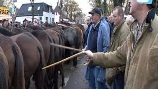 Paardenmarkt in Hedel