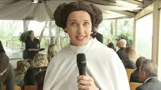 Tara and Jamie's wedding - the stream!