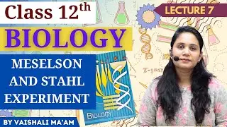 Meselson & Stahl Experiment | Semi-Conservative DNA Replication | Class 12 Biology | NEET 2025