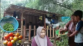 Eps: 30 | Jadi Sang Alas, Hidup di hutan, Penghuni alas.