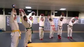 Entraînement Jujitsu Figting