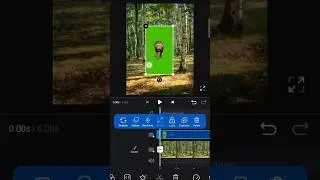 How to Remove Green Screen in VN Video Editor Using Chroma Key ✅