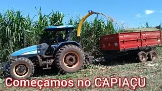 Partindo pra silagem de capiaçu.
