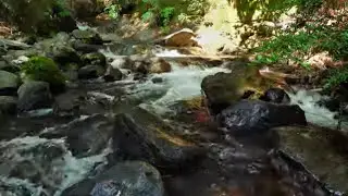 Relaxing by a Crystal Clear Mountain Stream