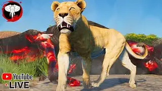 DO FILHOTE AO ADULTO! SOBREVIVENDO COMO LEÃO NA SAVANNA - | ANIMALIA | - LIVE PT-BR