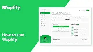 Как использовать Waplify | Краткое руководство по началу работы