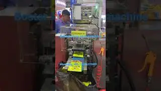 Qingdao Bostar automatic packing machine horizontal packaging flow pack machine for plastic tray