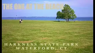 THE ONE AT THE BEACH
