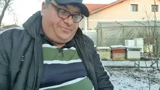 Apicultura urbană 2.15 . Am dat drumul la căldură in pavilionul fix.