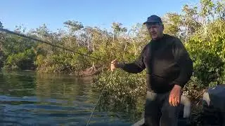 Best tip when catching giant mudcrabs.