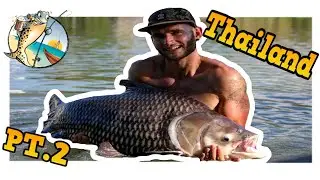 FISHING IN THAILAND PT.2 ***** Catching massive siamese carp and Red tale catfish *****
