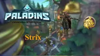 Paladins Casual | (Strix) Aim on POINT