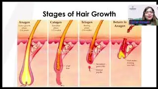 Hair care category forest nector products details.... 29 August 2025