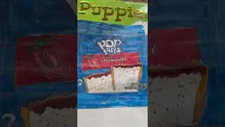 POV: your making a paper squishy with me | Poptart