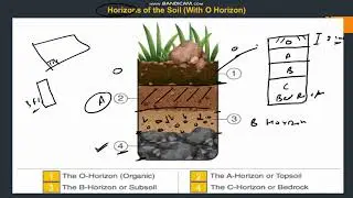 Soil - An Introduction || Video # 1 || FCI AGM 2021 || By Praveen Sir || StudyPanel