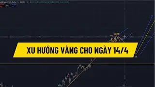 xu hướng v&agrave;ng ng&agrave;y 14/4 | Tchannel |