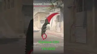 Karambit Knife | Crimson Web in Counter Strike 2 🔫🔥#cs2 #counterstrike #counterstrike2 #csgo #skin