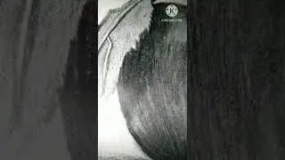 #Pencil sketch #Realistic fruit drawing #Shorts
