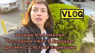 Уезжаю Из Армении,Последний Ужин В Ереване, Делаем Кормушки С Сестрой