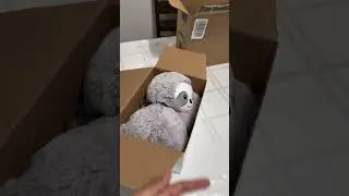 Unboxing time&mdash;let&rsquo;s see what I ordered! #amazon #delivery #unbox #unboxingvideo ￼