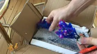Декорации для аквариума