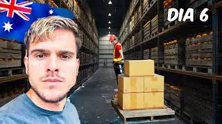 En Busca de FARM WORK en AUSTRALIA: Work and Holiday - DIA 6