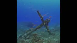 Diving Elba: Mediterranean Sea Italy