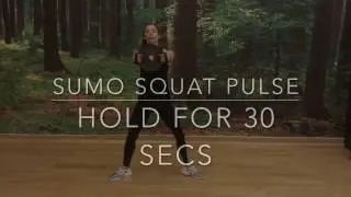 Wildcat Fitness UK Full Body Plate Workout
