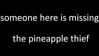 Someone Here is Missing - The Pineapple Thief (acoustic cover)