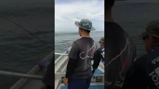 Jigging seastone..