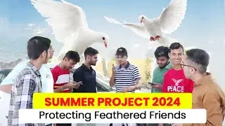 Wings of Compassion: Dera Sacha Sauda's Bird Nurturing Initiative