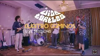 The Wise Turtles at Cuatro Caminos live sessions