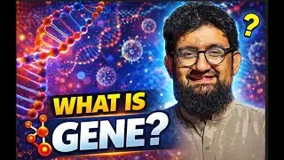 What is Gene