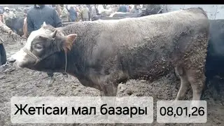 Жетісаи мал базары мал бағаларымен танысамыз. Жылқы, Қой, Сиыр, Ешкі, бағалары