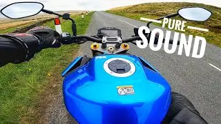 SUZUKI GSX-S1000 | Pure Sound