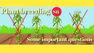 | Some important  questions of - Plant Breeding  - (sem - 6 ) |