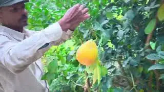 My Farm House in Up ✌️ Rahil Malik Blog