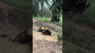 Rc offroad RGT86120 trabas jalan berlumpur #rcoffroad #rcadventure #shorts