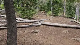PCT 2023 Big Lake Youth Camp to Timberline Lodge (part 1)
