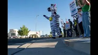 Indivisible Las Cruces 2025 Recap