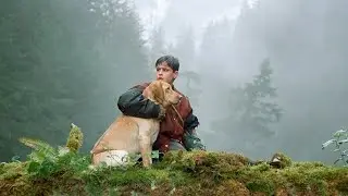 They Left the Dog Behind at Sea. But It Fought to Stay With the Boy.