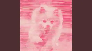 Smooth Relaxed Pooch