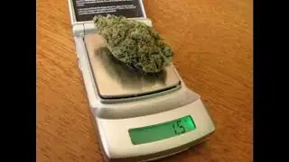 Weight On The Scale