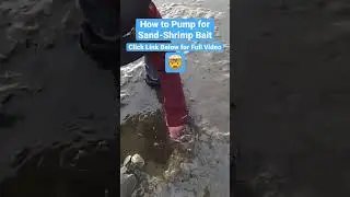 How to Get Sand Shrimp for Fishing Bait 🤯