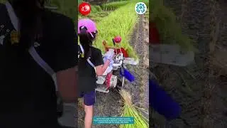 Effortless Harvesting! Even Elders Can Use This 💪🚜