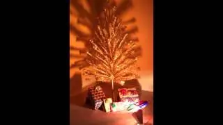 Evergleam Aluminum Christmas Tree and Penetray Color Wheel circa 1962