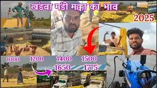 ✔️खंडवा मंडी मक्का सोयाबीन कपास का भाव (Rakesh Sisodiya)